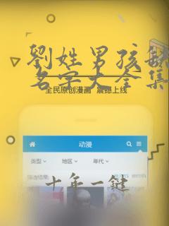 刘姓男孩缺木的名字大全集