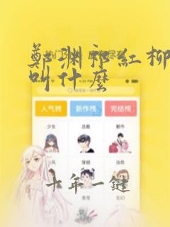 郑渊祁红柳小说叫什么