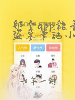 那个app能看盗墓笔记小说