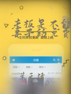 老板是不能变成妻子的免费阅读全文小说