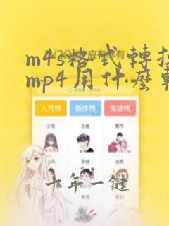 m4s格式转换mp4用什么软件