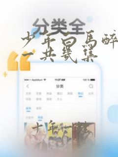 少年白马醉春风一共几集