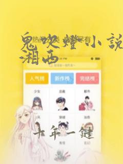 鬼吹灯小说怒晴湘西