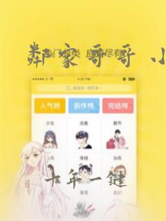 邻家哥哥 小说