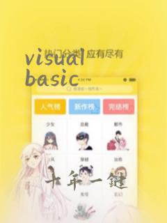 visual basic