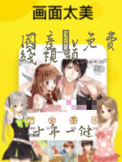 国产αv免费在线视频