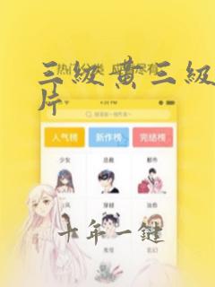 三级黄三级黄色片