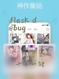 flask debug