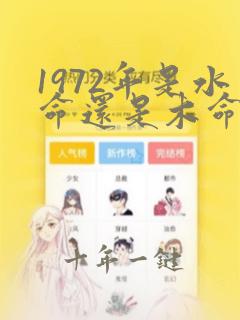 1972年是水命还是木命