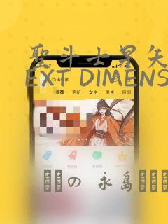圣斗士星矢 NEXT DIMENSION 冥王神话