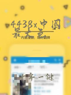 4438x中国最大色