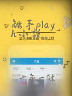 触手play h小说