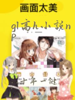 gl高h小说np
