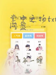 掌中之物txt网盘