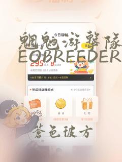 魍魉游击队 GEOBREEDERS：结局+番外