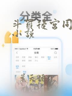 斗罗后宫同人文小说