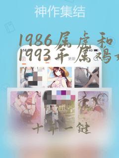 1986属虎和1993年属鸡婚姻