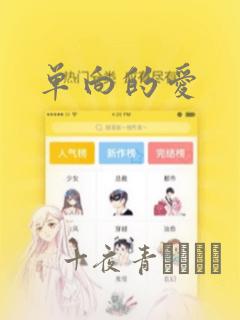 单向的爱：结局+番外