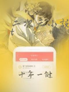 二次元小说txt