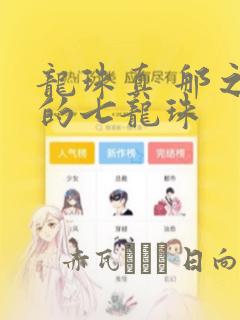 龙珠真 那之后的七龙珠