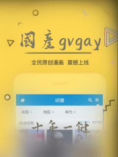 国产gvgay
