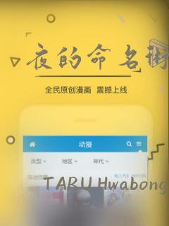 夜的命名术漫画
