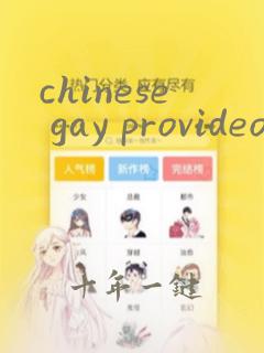 chinese gay provideos