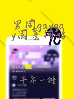 男同gaygay国产网站