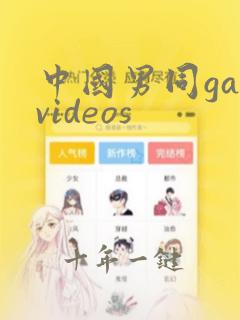 中国男同gayvideos