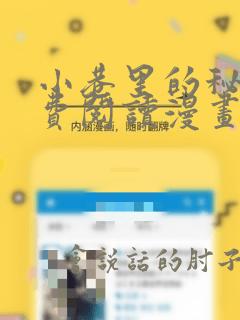 小巷里的秘密免费阅读漫画完整版