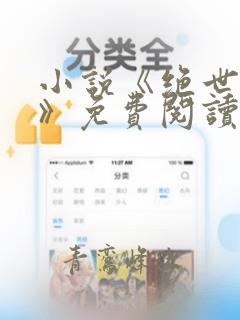 小说《绝世高手》免费阅读