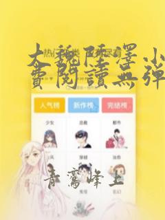 大魏陆泽小说免费阅读无弹窗