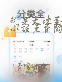 我是大坏蛋原著小说免费阅读
