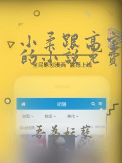 小柔跟高家父子的小说免费阅读全文