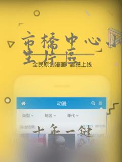 市桥中心小学招生片区