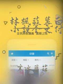 林枫苏慕白穿越小说全文付费阅读