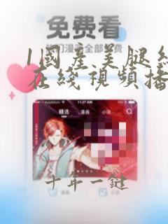 1国产美腿丝袜在线视频播放