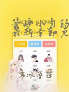 萧峥小月的小说最新章节免费阅读全文