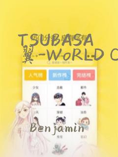 TSUBASA翼-WoRLD CHRoNiCLE 梦幻之岛篇：结局+番外