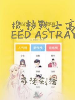 机动战士高达SEED ASTRAY R
