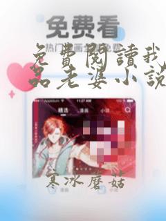 免费阅读我的极品老婆小说