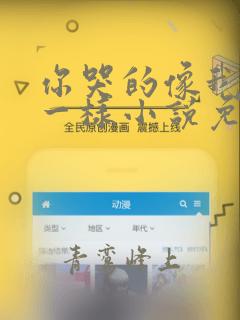 你哭的像我死了一样小说免费阅读