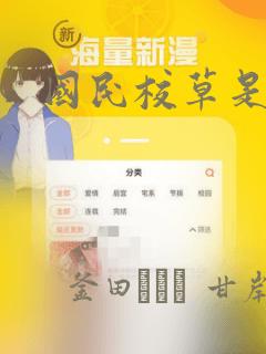 欧美日韩一级片视频观看