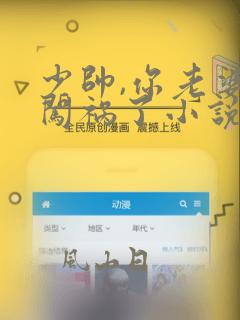 少帅,你老婆又闯祸了小说在线阅读