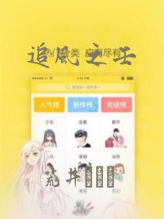 追风之壬