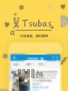 翼Tsubasa：结局+番外