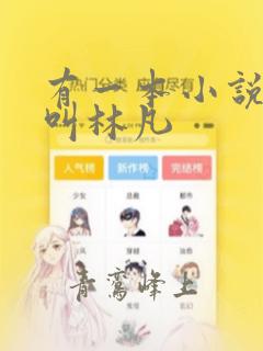 有一本小说主角叫林凡