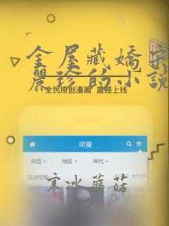 金屋藏娇宋阳陈丽珍的小说