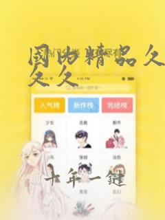 国内精品久久久久久