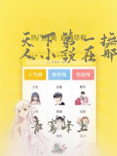 天下第一抚琴的人小说在哪免费下载
